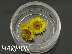 [OZ050] Ozdoby do paznokci kwiaty żółte (3szt)