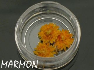 [OZ053] Ozdoby do paznokci kwiaty pomarańczowe (3szt)